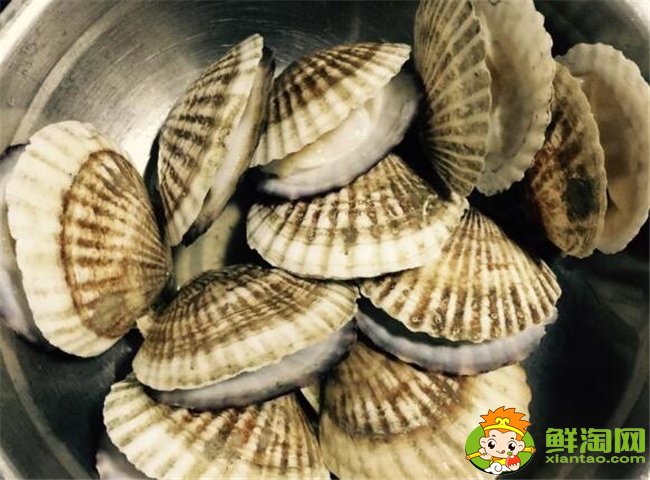 扇貝怎么洗干凈，扇貝肉怎么洗干凈(去除內(nèi)臟用鹽水生粉唰一唰)