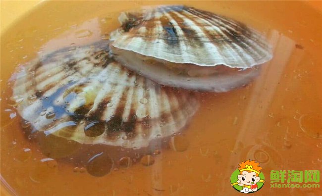 扇貝怎么洗干凈，扇貝肉怎么洗干凈(去除內(nèi)臟用鹽水生粉唰一唰)