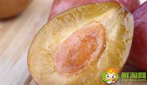 新鮮西梅的功效與作用禁忌，新西梅有什么好處