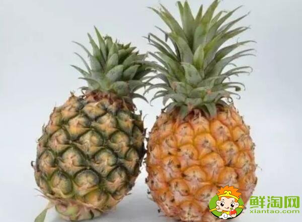 鳳梨和菠蘿的區(qū)別