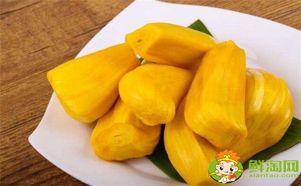 菠蘿和菠蘿蜜的關系，菠蘿和菠蘿蜜的區(qū)別