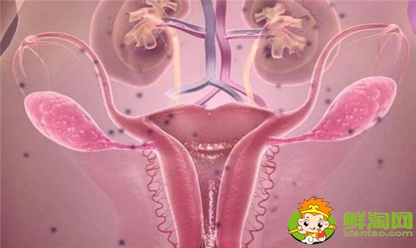 女人月經(jīng)期能吃蘋(píng)果嗎，女性宮寒月來(lái)經(jīng)期能吃蘋(píng)果嗎