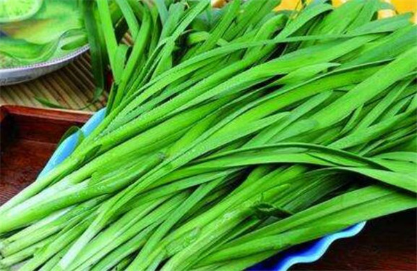 孕婦能吃韭菜嗎，孕婦吃韭菜的好處
