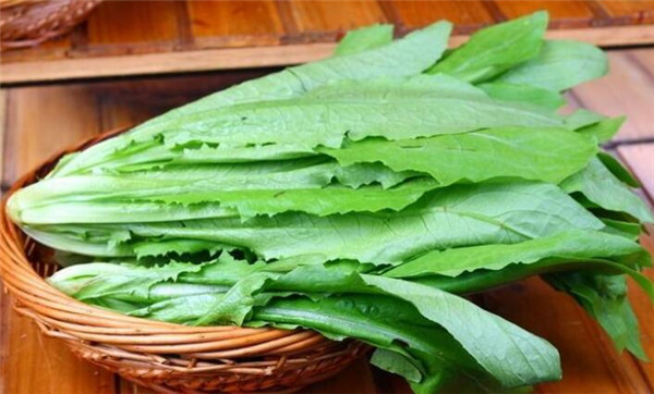 油麥菜的功效與作用，吃油麥菜的注意事項(xiàng)
