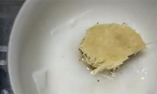 金針菇根部再生方法，金針菇培養液調制再生效果非常好