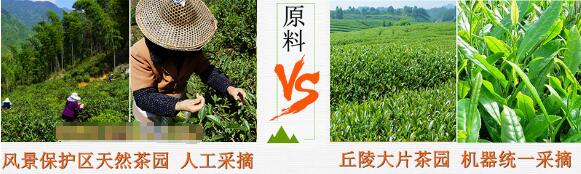 如何鑒別金駿眉真假，金駿眉真假與品質鑒別