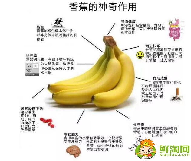 香蕉的功效與作用禁忌，醋泡香蕉能減肥嗎