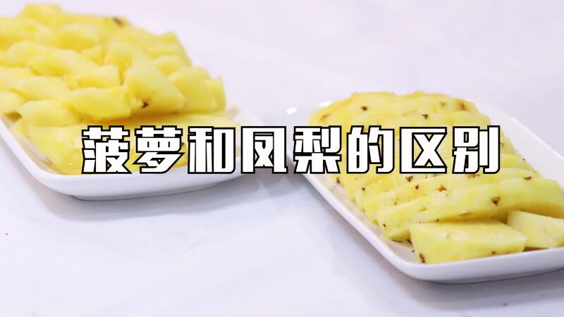 菠蘿和鳳梨的區別