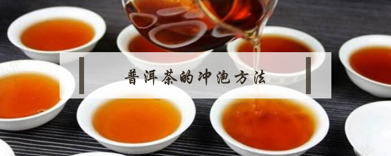 普洱茶的沖泡方法