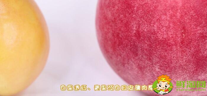 黃桃和水蜜桃的區(qū)別