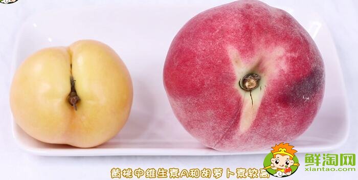 黃桃和水蜜桃的區(qū)別