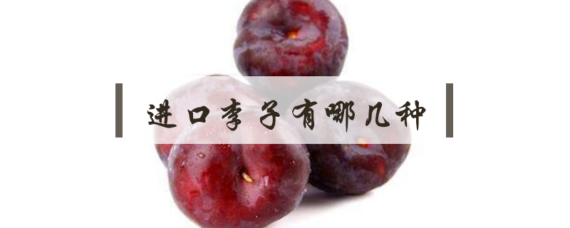 進(jìn)口李子有哪幾種