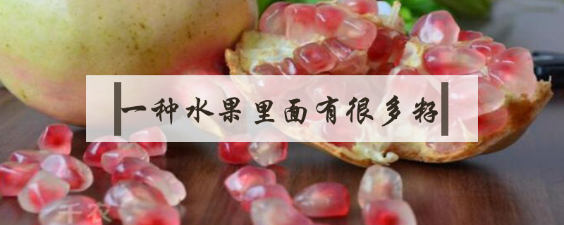 一種水果里面有很多籽