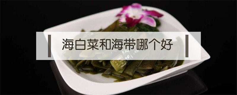 海白菜和海帶哪個好