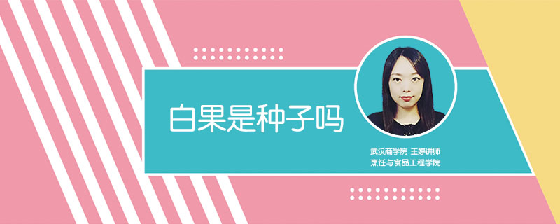 白果是種子嗎