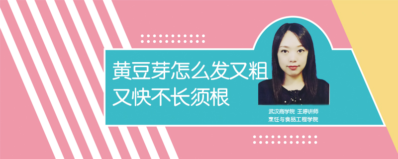 黃豆芽怎么發又粗又快不長須根