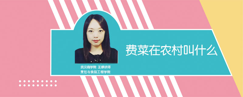 費(fèi)菜在農(nóng)村叫什么