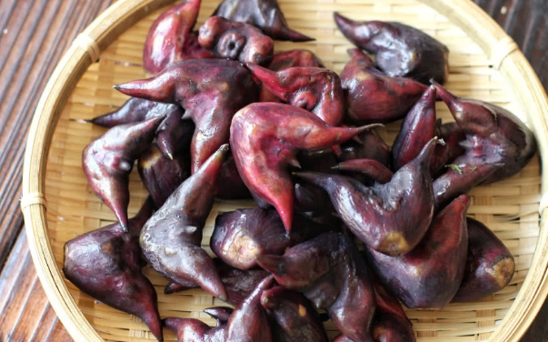 菱角長(zhǎng)在哪里，菱角什么時(shí)候成熟