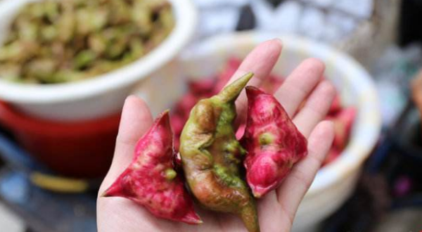 菱角長(zhǎng)在哪里，菱角什么時(shí)候成熟