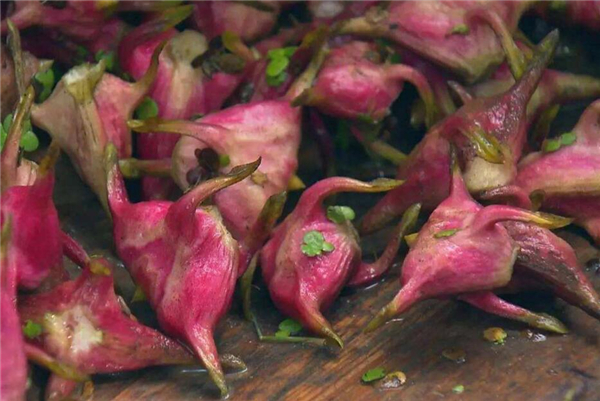 四角菱角怎么剝殼，野生菱角怎么剝殼