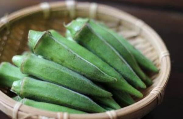 秋葵在浙江什么時(shí)候可以種植，秋葵剛結(jié)果什么時(shí)候可以摘