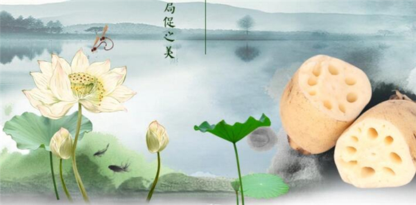 淺水蓮藕什么時候下種，極早熟淺水蓮藕品種