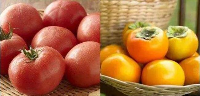 柿子和西紅柿有什么區別，柿子和西紅柿怎么分辨