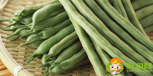 四季豆是什么季節的菜，四季豆是什么時候上市
