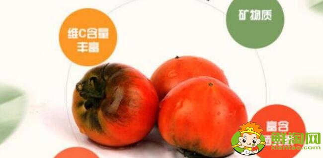 正宗鐵皮柿子產地是哪里,丹東鐵皮柿子什么時候上市