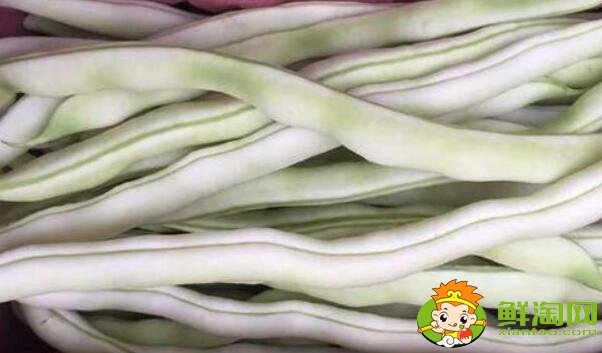 白色的豆角叫什么，白不老豆角有毒嗎