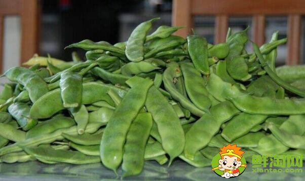 油豆角幾月份收獲，油豆角怎么保存時(shí)間長(zhǎng)