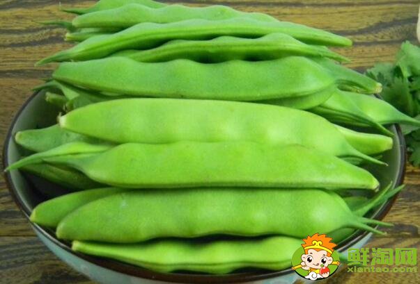 油豆角幾月份收獲，油豆角怎么保存時(shí)間長(zhǎng)