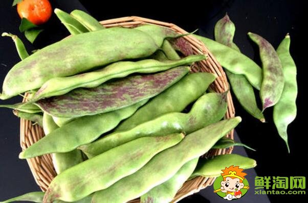 油豆角幾月份收獲，油豆角怎么保存時(shí)間長(zhǎng)