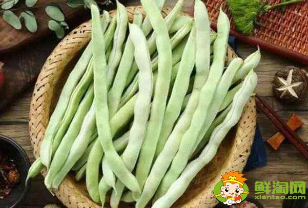 老來嫩豆角是啥，豆角為什么叫老來嫩
