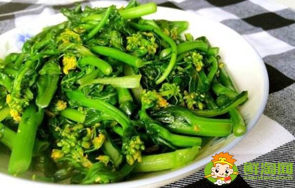 花菜和菜花是一種菜嗎，菜花怎么煮