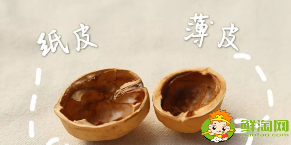薄皮核桃和厚皮核桃哪個好，薄皮核桃和紙皮核桃有什么區別