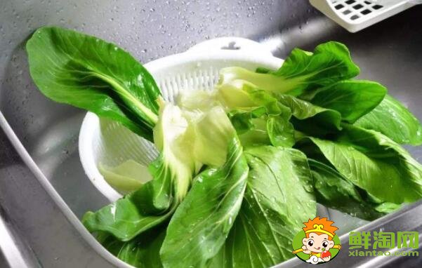 青菜有蟲子怎么辦，青菜有藍(lán)色顆粒有毒嗎