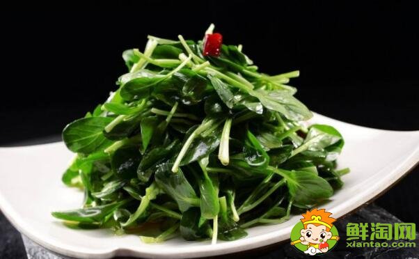 青菜減肥嗎，減肥期間可以吃的青菜有什么