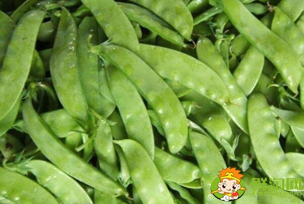 扁豆有幾種，扁豆民間有幾種叫發(fā)