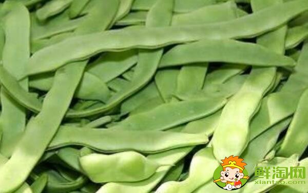 扁豆什么品種好，最大的扁豆品種
