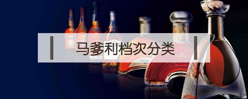馬爹利檔次分類