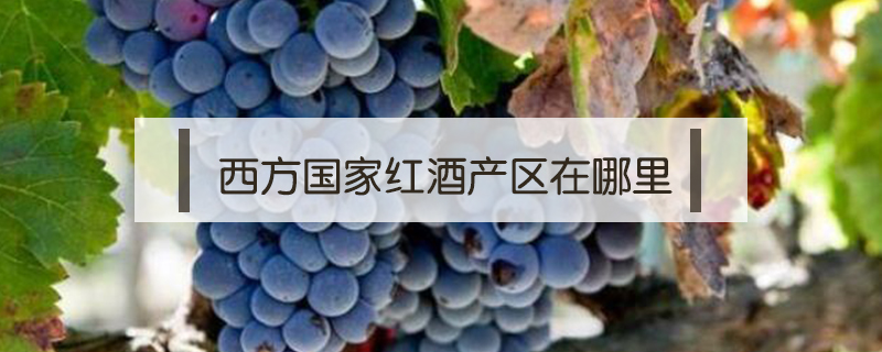 西方國家紅酒產區在哪里