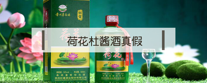 荷花杜醬酒真假