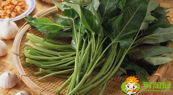 空心菜要怎么挑洗,長(zhǎng)的空心菜怎么處理