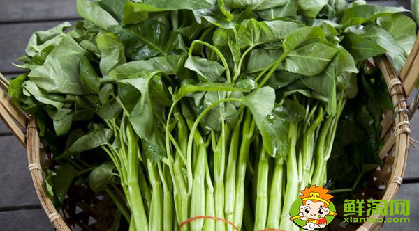 空心菜要怎么挑洗，長(zhǎng)的空心菜怎么處理