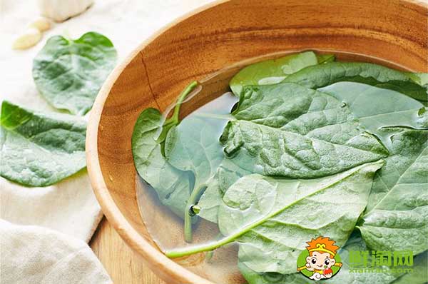 木耳菜如何過冬，木耳菜第二年還能長嗎