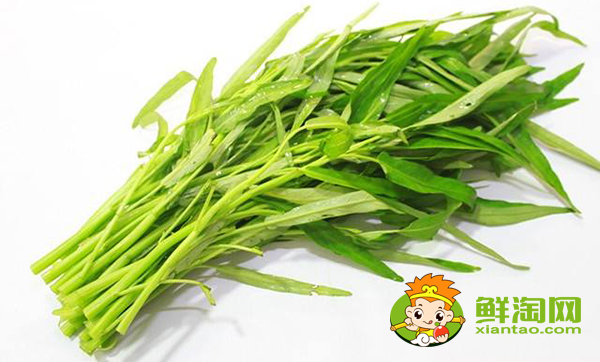 竹葉空心菜是怎樣的，竹葉空心菜青梗好還是白梗好