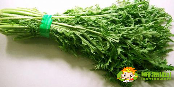 雪里蕻菜長什么樣,雪里紅和雪里蕻的區(qū)別