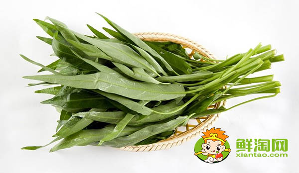 蕹菜又名什么，水雍菜和空心菜的區(qū)別