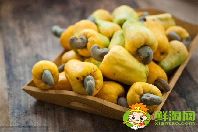 腰果是水果還是蔬菜,蓮霧和腰果有關(guān)系嗎
